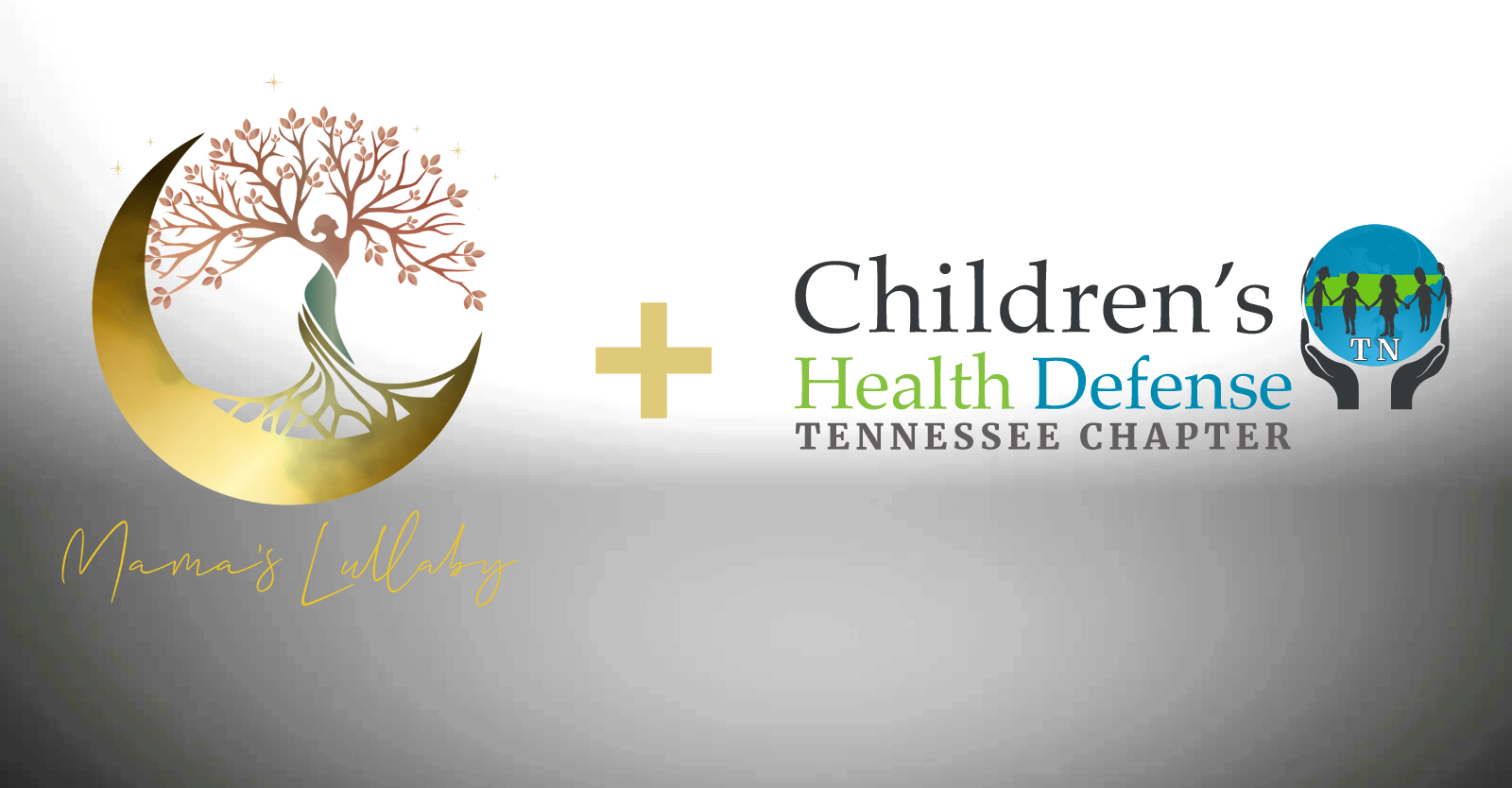 TNCHD Mentor Moms and Mama's Lullaby House Concert Fundraiser