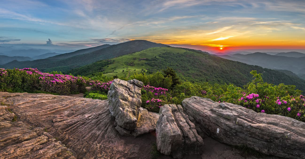 POSTPONED: East TN CHD Meet-Up — Feb. 2025
